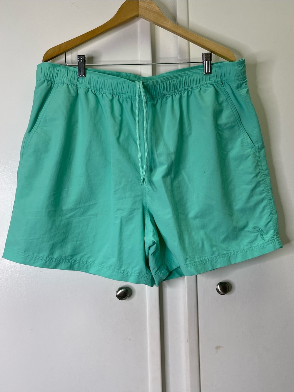 Caribbean swimwear Men's 4 Pockets 6 inch Shorts Swim Trunks, Pastel Green XXL